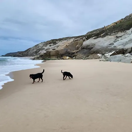 Silver Coast 빌라 *