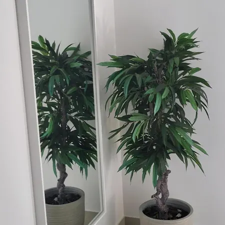 Silver Coast 빌라 *