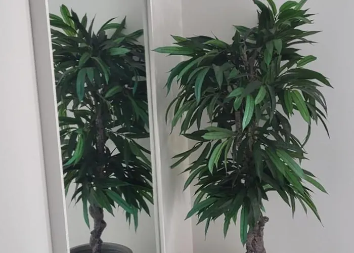 Silver Coast Вилла *